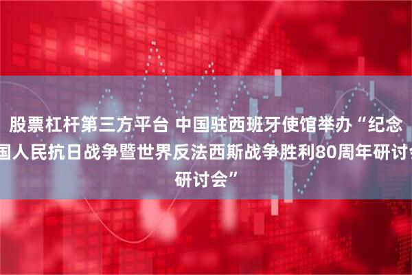股票杠杆第三方平台 中国驻西班牙使馆举办“纪念中国人民抗日战争暨世界反法西斯战争胜利80周年研讨会”
